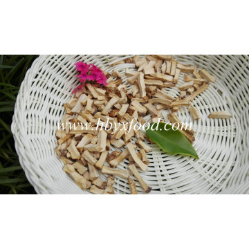 La mayoría del material ideal del cultivo de la seta del portador Granos del COB del maíz para la venta